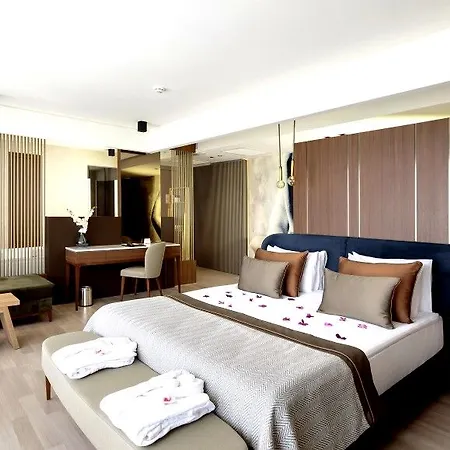 Hotel Riolavitas And